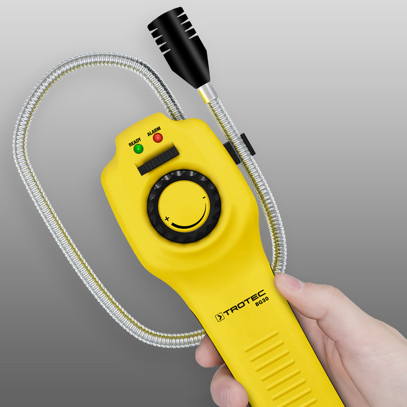 BG30 gasdetector