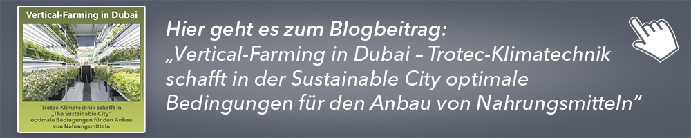 Direkt zum Blog