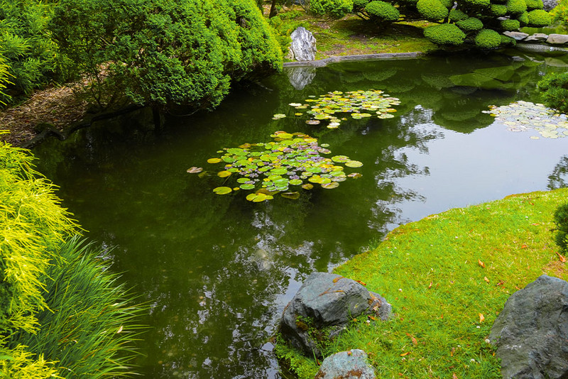 Idéale pour vider l’eau des étangs