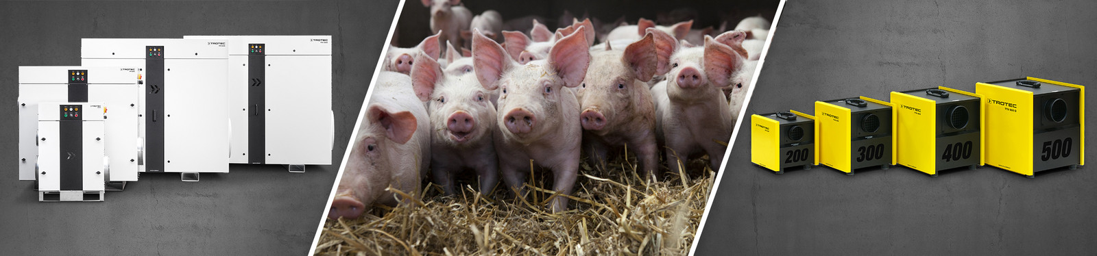 Luftentfeuchtung in der Schweinezucht