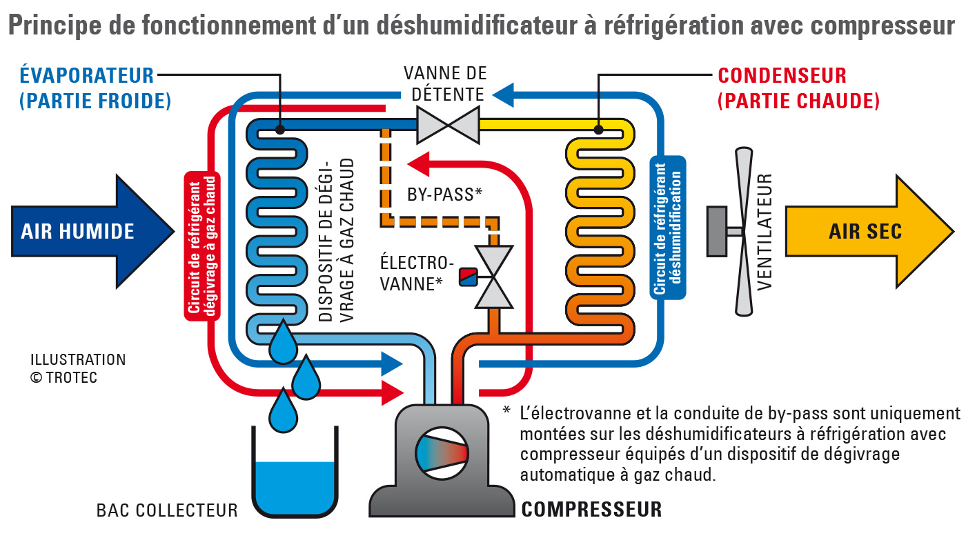 Principe de fonctionnement des déshumidificateurs à réfrigération avec compresseur