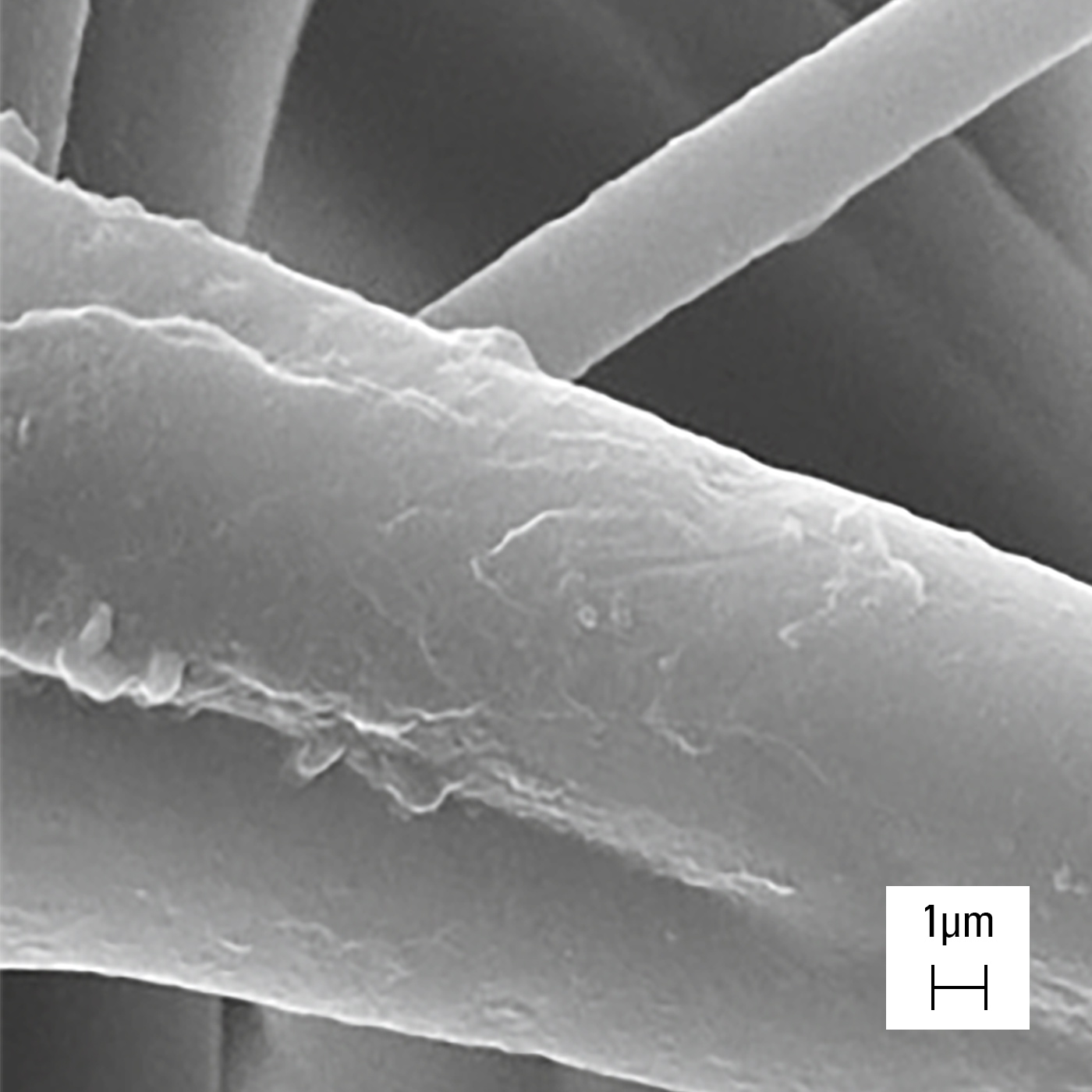 Structure filamenteuse d’un filtre H14 vue au microscope électronique